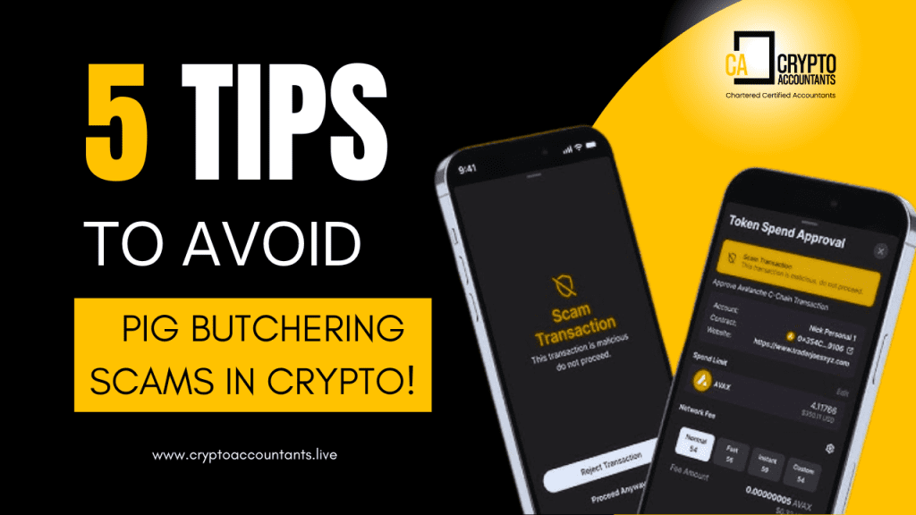 Pig butchering scams